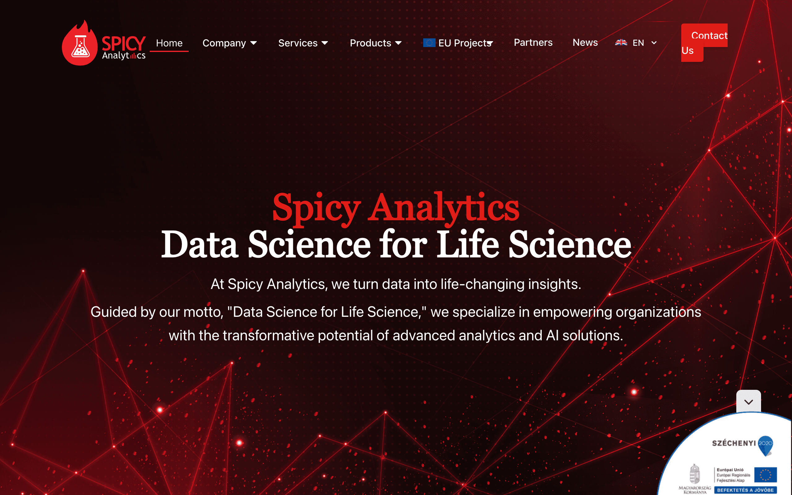 Screenshot of the Spicy Analytics data-science company site.